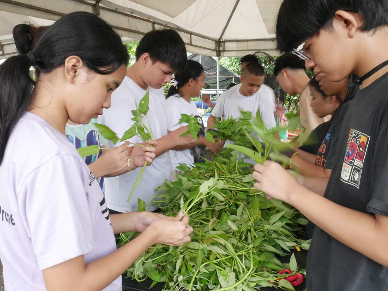 Urban Agriculture workshop with SK Novaliches Proper